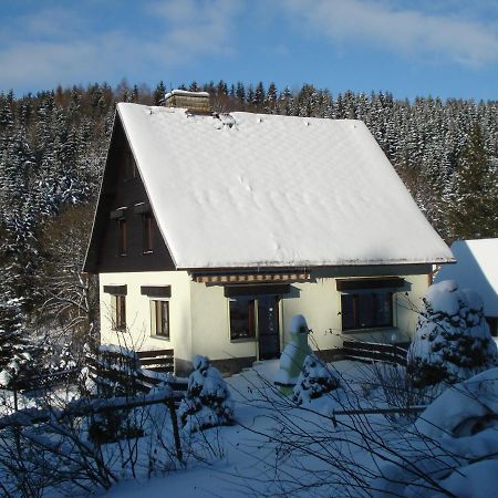 Erzgebirgsdomizil Am Schwartenberg Neuhausen  Exterior photo